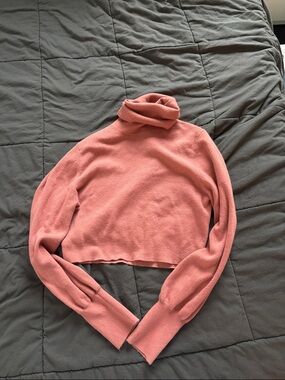 Aritzia Soft Cropped Turtleneck Sweater - Dusty Rose